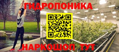 прущие грибы Белореченск