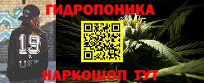 прущие грибы Белореченск