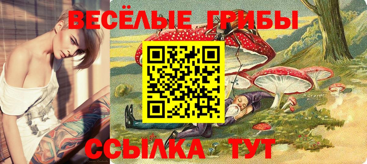 Галлюциногенные грибы MAGIC MUSHROOMS Подольск