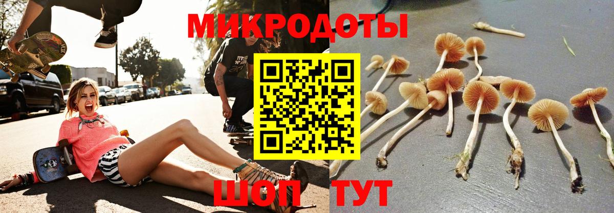 Псилоцибиновые грибы Magic Shrooms  Псилоцибиновые грибы мицелий  Подольск  Вход с VPN 